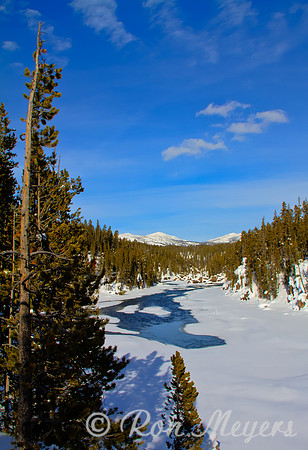 Yellowstone in Winter