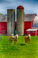 Wisconsin Farm
