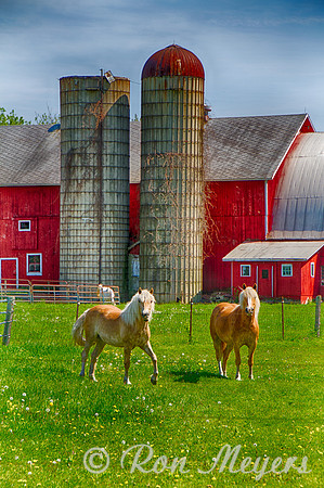 Wisconsin Farm
