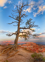 Bryce Viewpoint