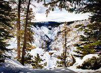 Yellowstone in Winter