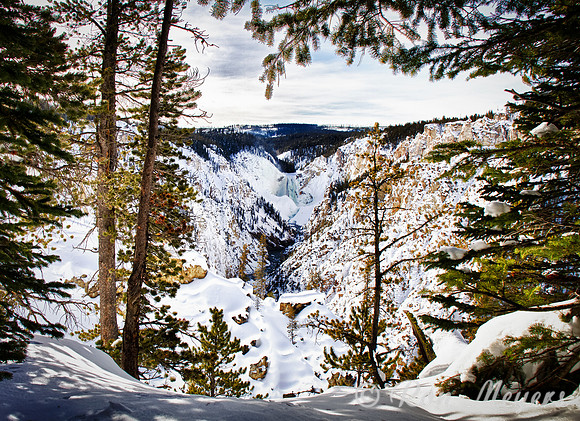 Yellowstone in Winter