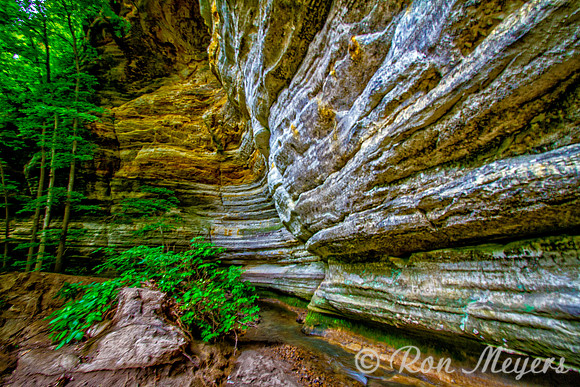 Starved Rock