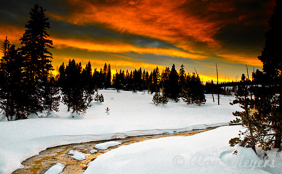 Yellowstone in Winter