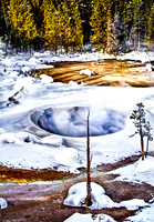 Yellowstone in Winter