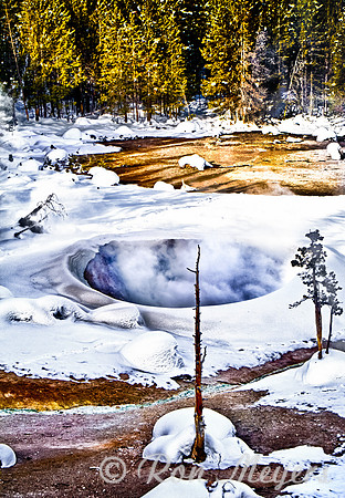 Yellowstone in Winter