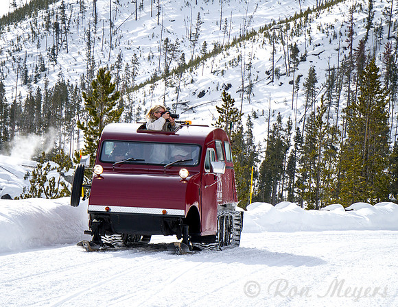 Yellowstone in Winter