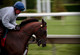 Arlington Park