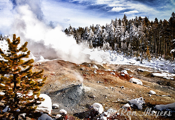 Yellowstone in Winter