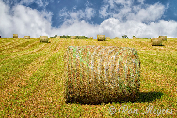 Wisconsin Hay