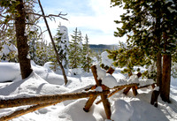 Yellowstone in Winter