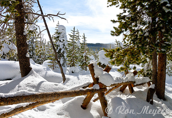 Yellowstone in Winter