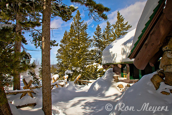 Yellowstone in Winter