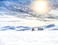 Yellowstone in Winter