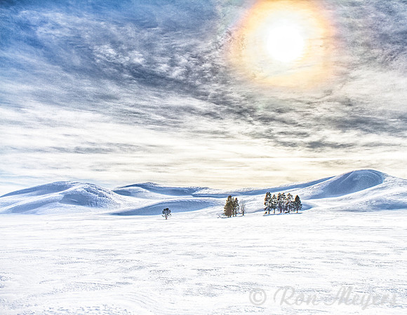 Yellowstone in Winter