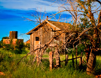 Cuervo NM Yard
