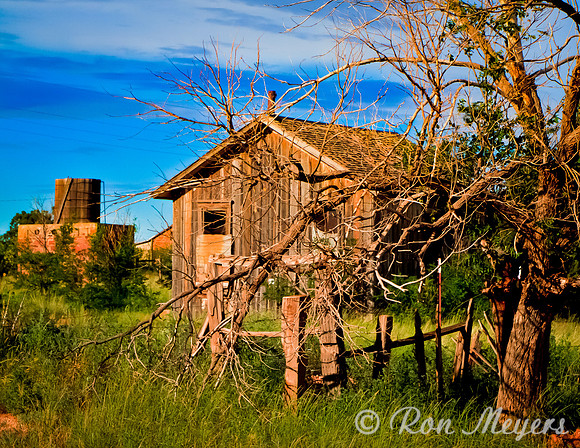 Cuervo NM Yard